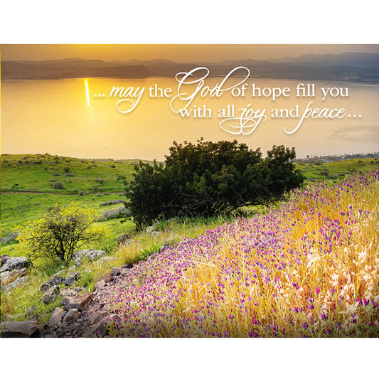 JOY AND PEACE NOTECARD