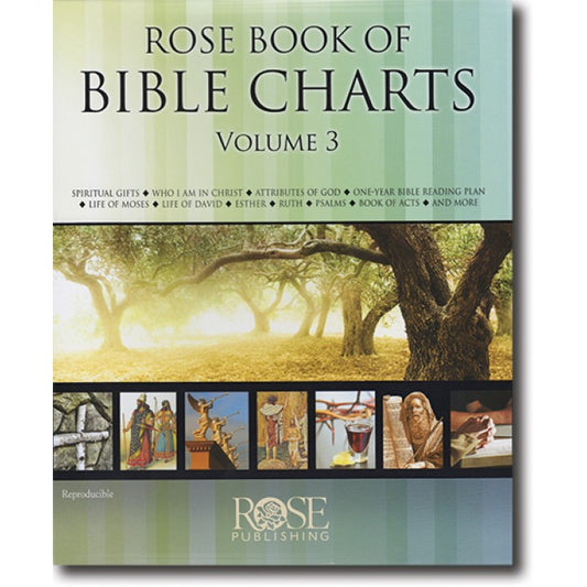 Rose Book of Bible Charts Vol 3 - Hard