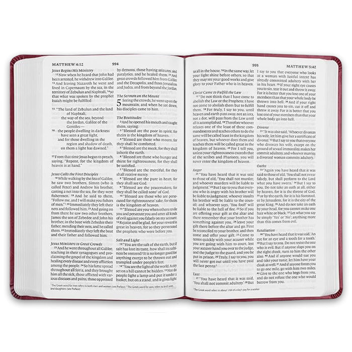 ESV Large Print Value Thinline Bible TruTone, Raspberry, Floral Design