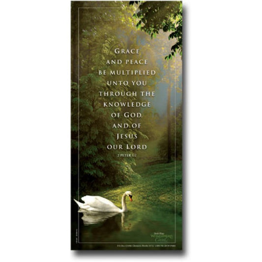 Grace and Peace - WitnessWord Card