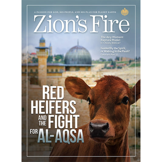 2024- Jan/Feb -Ref Heifers...Al-Aqsa