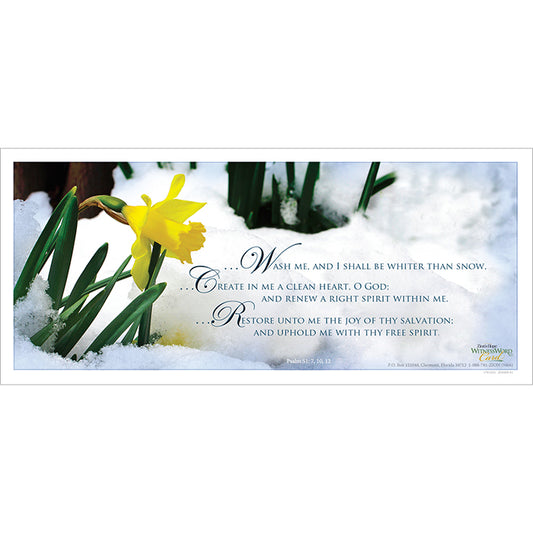Wash Me-WitnessWord Card